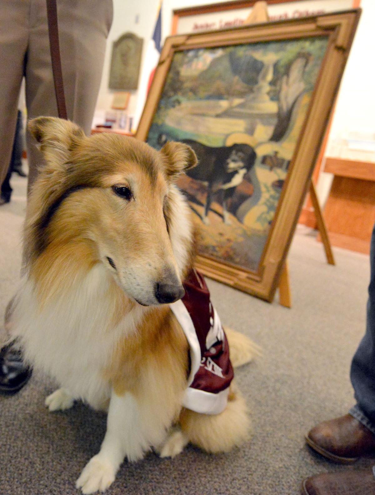 Texas A M Welcomes Back Reveille I Painting With Re Unveiling