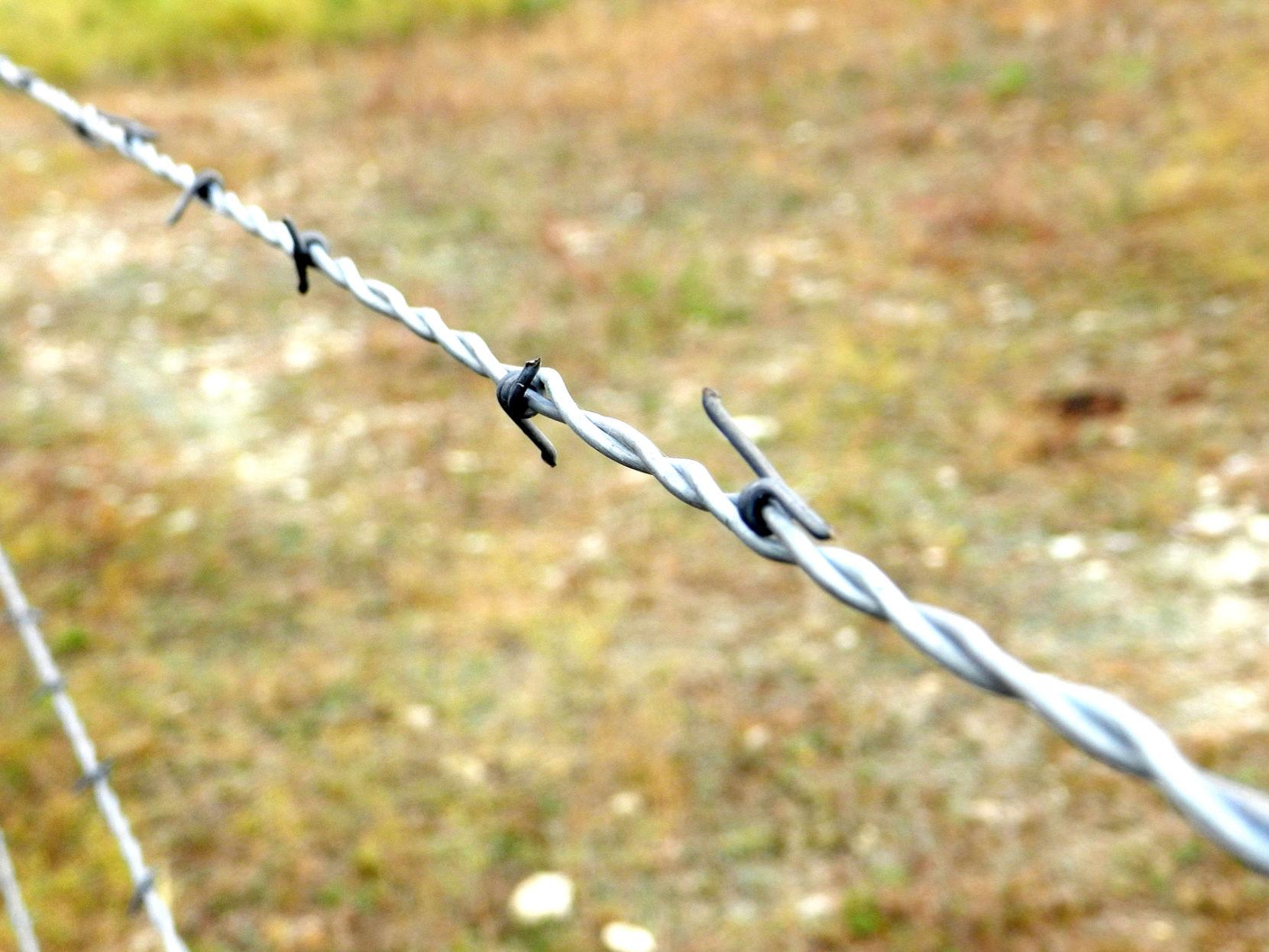 Get Wired Selection Of Fence Wire Is Important Land Livestock Post Theeagle Com