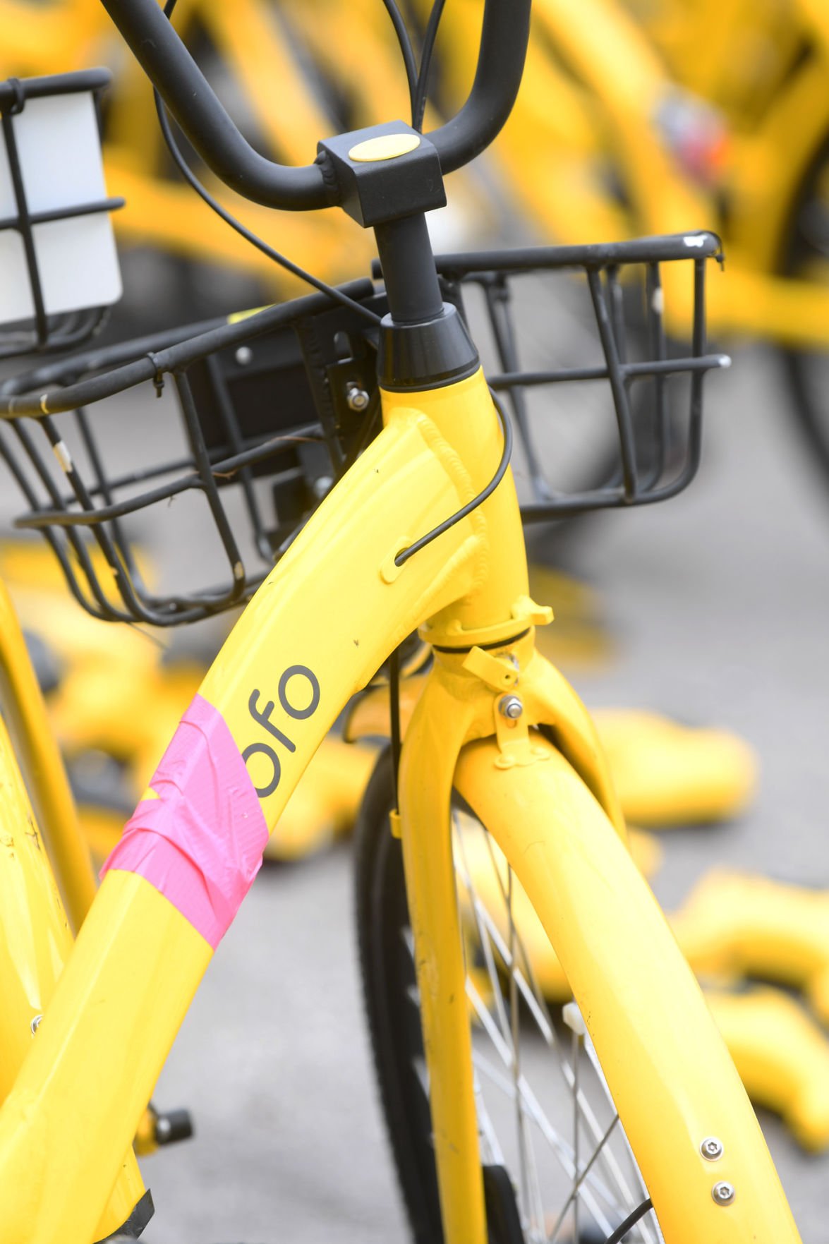 ofo bike cost