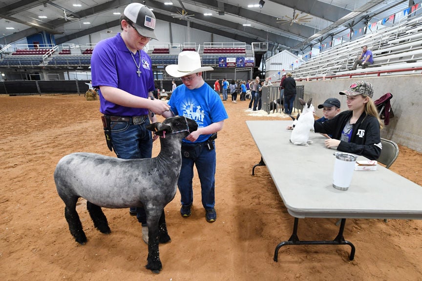 BCYLS Special Edition Livestock Show