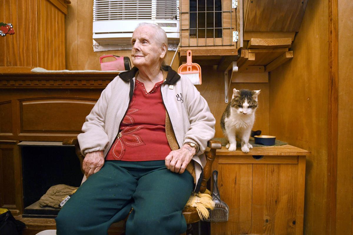 Cc World S First Cloned Cat Turns 18 Years Old Local News Theeagle Com