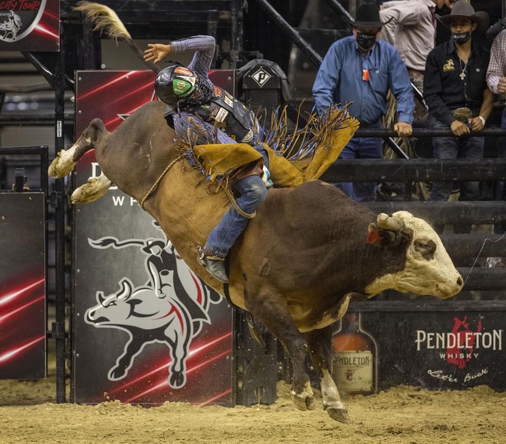 Gallery: PBA Aggieland Classic bull riding at Reed Arena