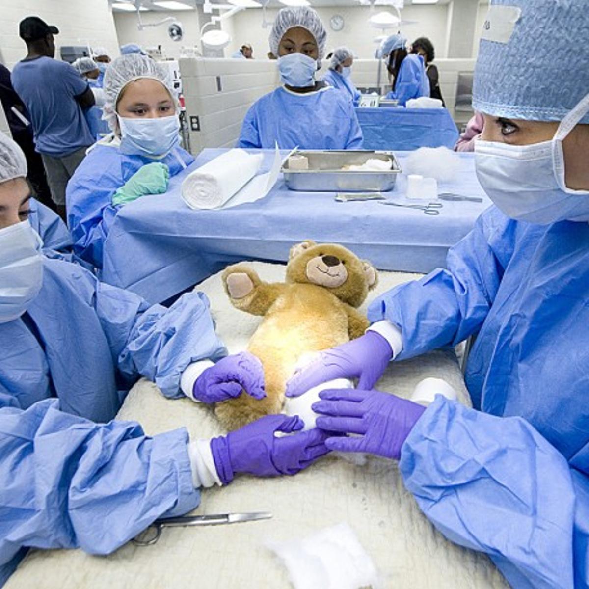 Texas A&M Vet School Open House | Local News | theeagle.com