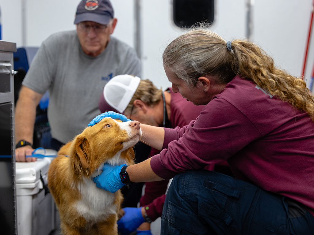Texas AandM Veterinary Emergency Team deploys to support Central Texas flood response