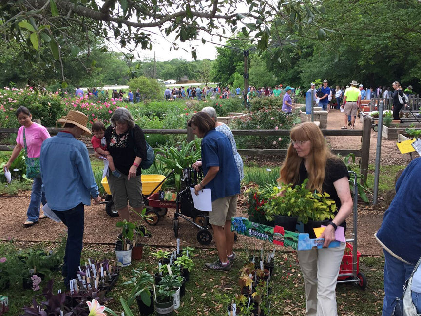 GARDEN SENSE Find perfect plants for Brazos County at Master Gardeners