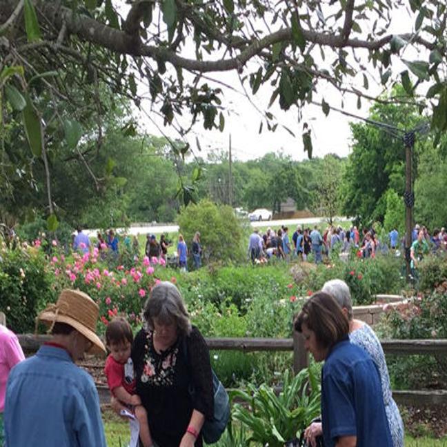 Garden Sense Find Perfect Plants For Brazos County At Master Gardeners Spring Sale Theeagle Com