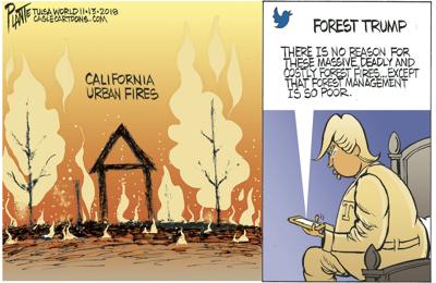 bruce plante cartoon trump and california fires cartoons