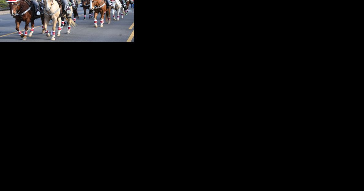 Bryan City Council to discuss South College Avenue medians - Vimarsana News