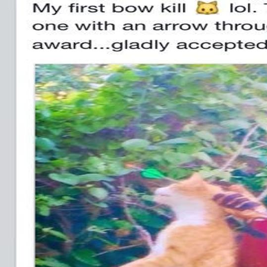 Veterinarian In Hot Water Over Dead Cat Photo On Facebook Local