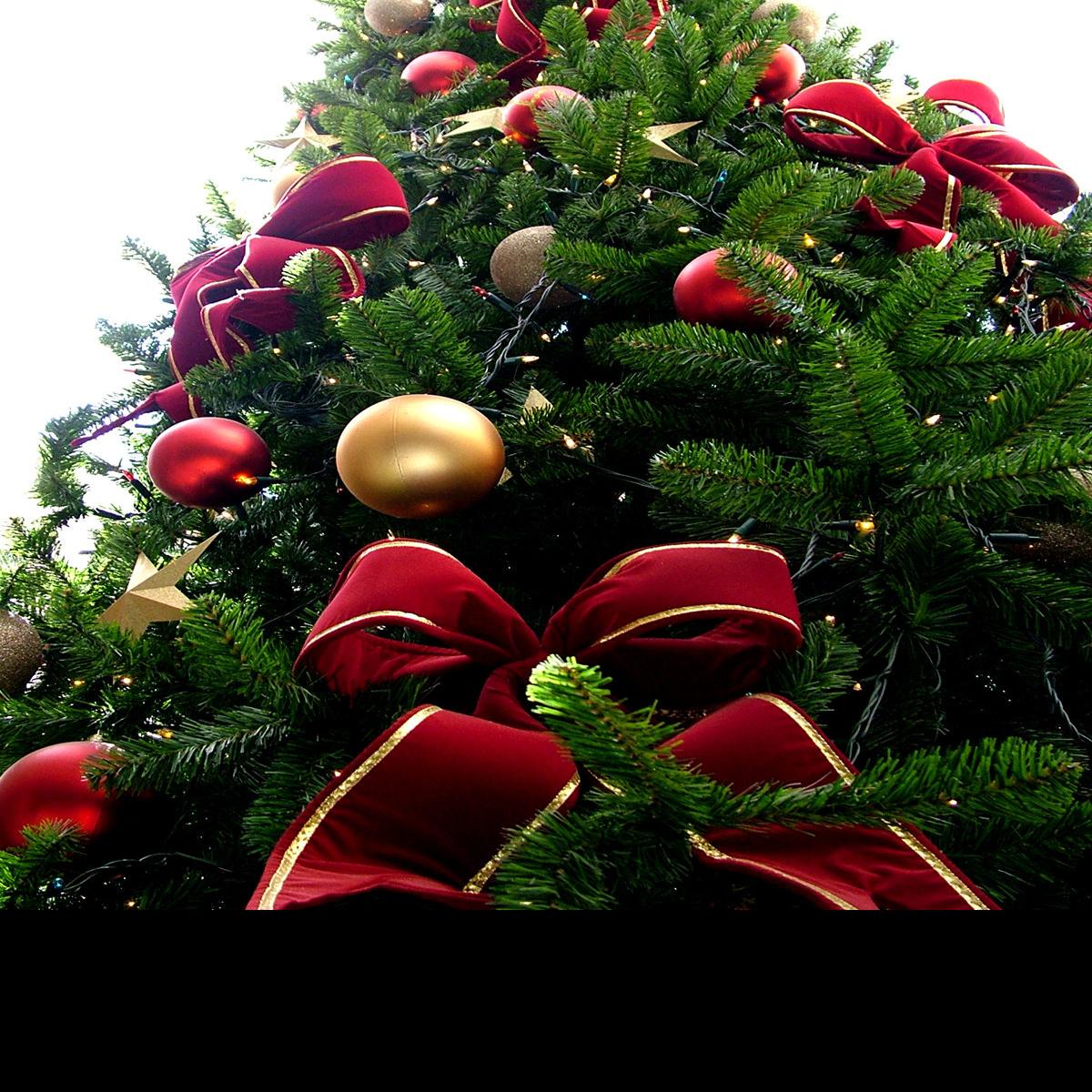 Bryan College Station To Pick Up Christmas Trees Local News