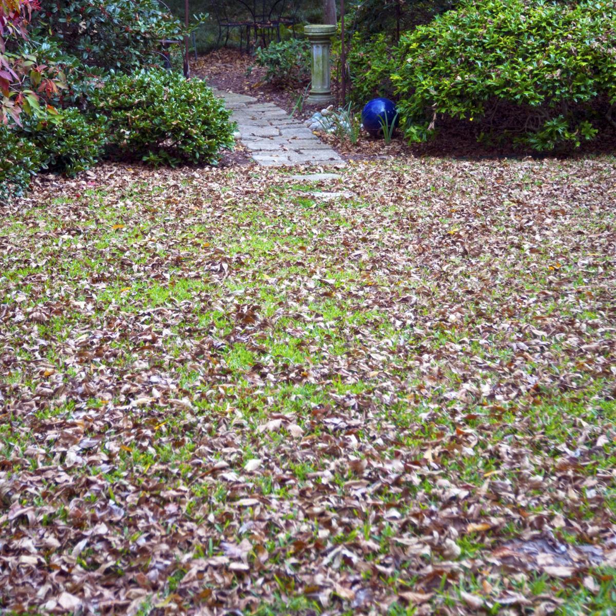 Texas Gardening Best Use Of Clippings Depends On Season Neil Texas Gardening Clippings And Leaves As Mulch