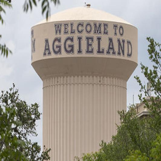 Texas A M Regents Vote To Reopen System Campuses This Fall News Theeagle Com