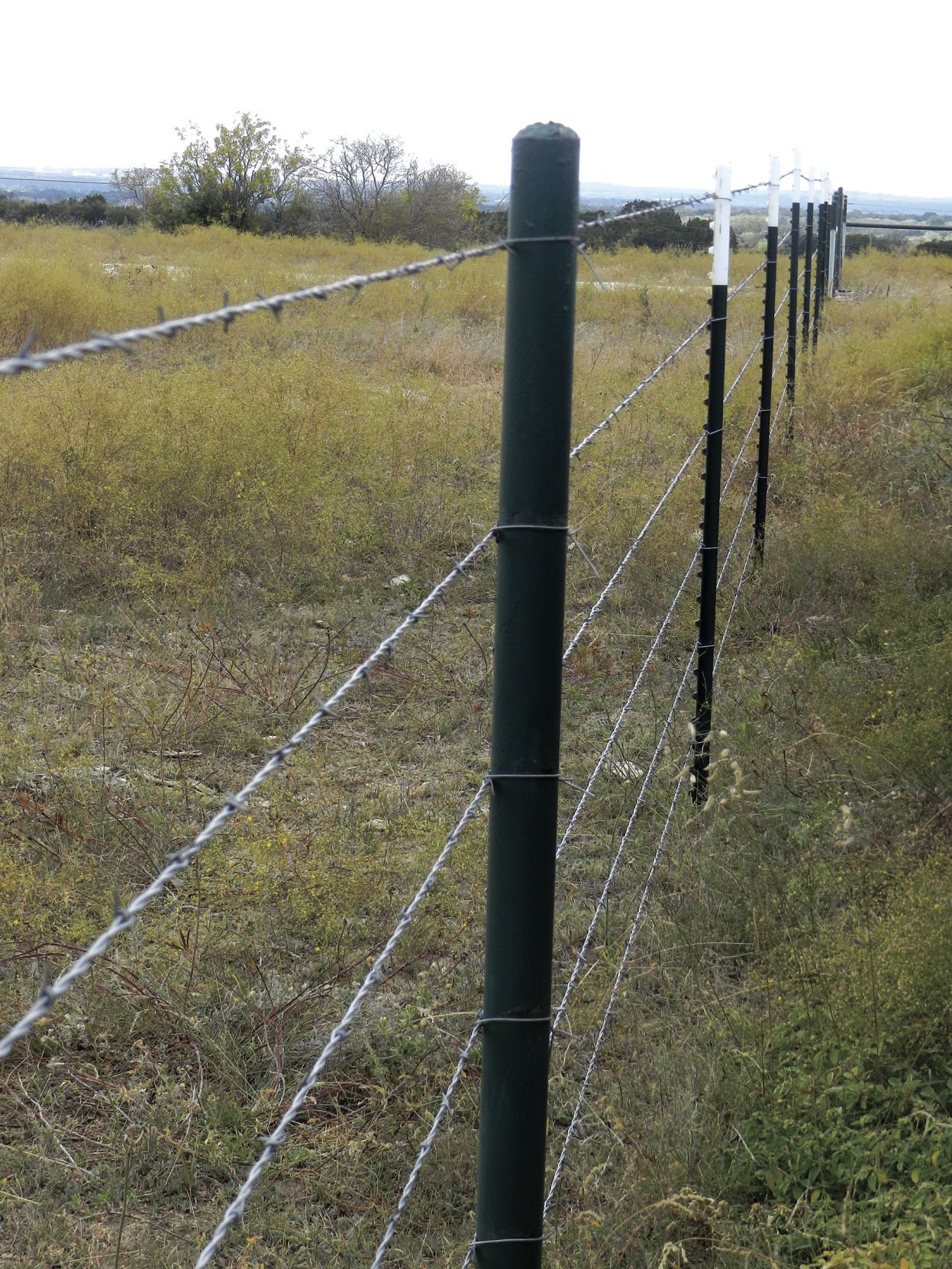 bob wire and the fence posts