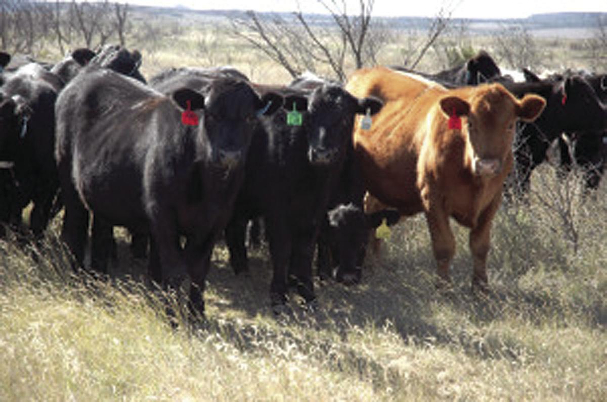 East Texas Pasture Management workshop Feb. 21 in Overton