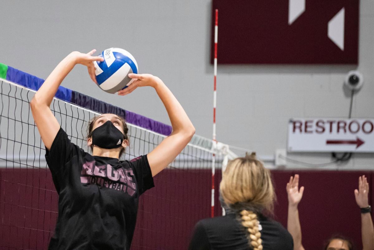 Texas A&M volleyball team opens at No. 8 in coaches poll Sports News