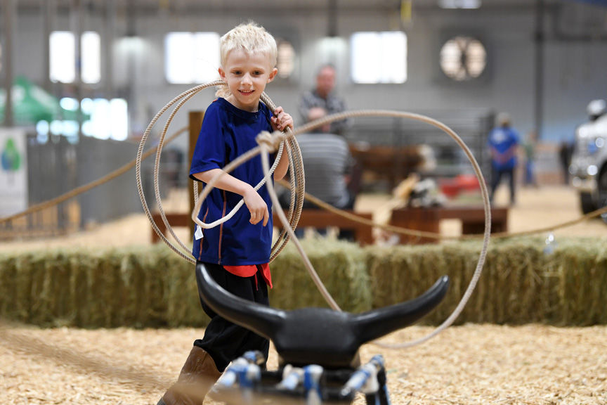 From honeybees to swimming pigs, animals star at Brazos Valley Fair