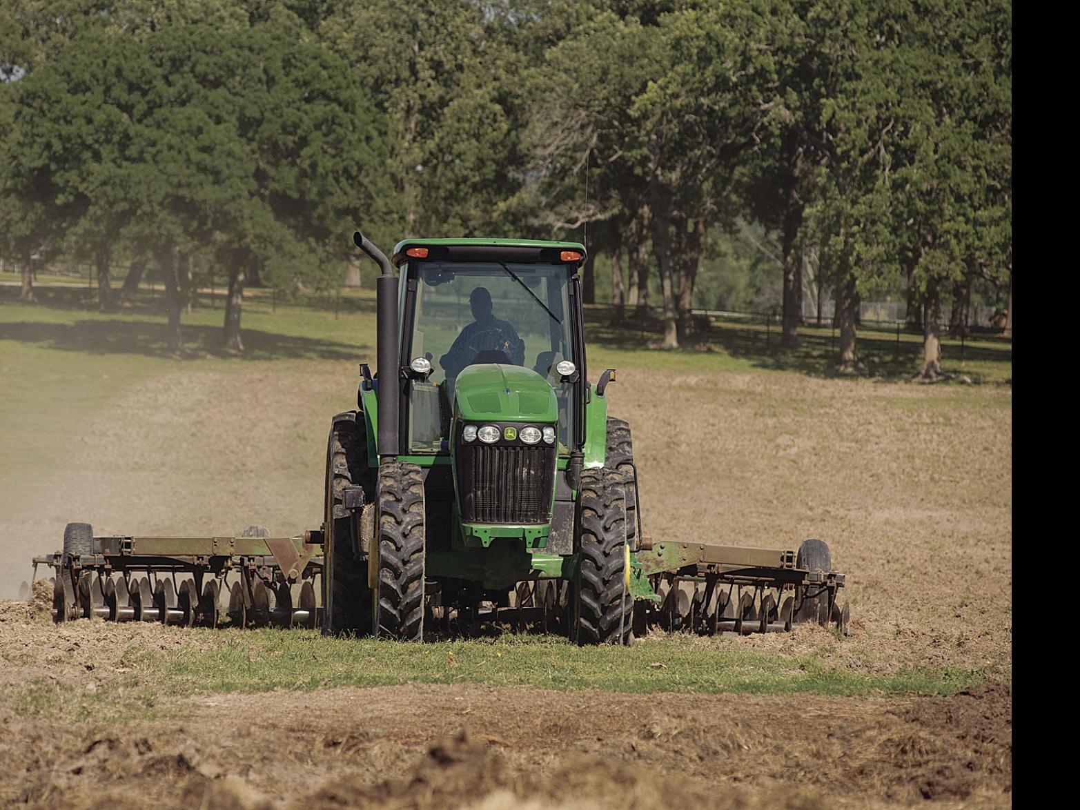 Beefing Up Winter Pastures Sod Seeding Winter Forages Into Bermudagrass Land Livestock Post Theeagle Com