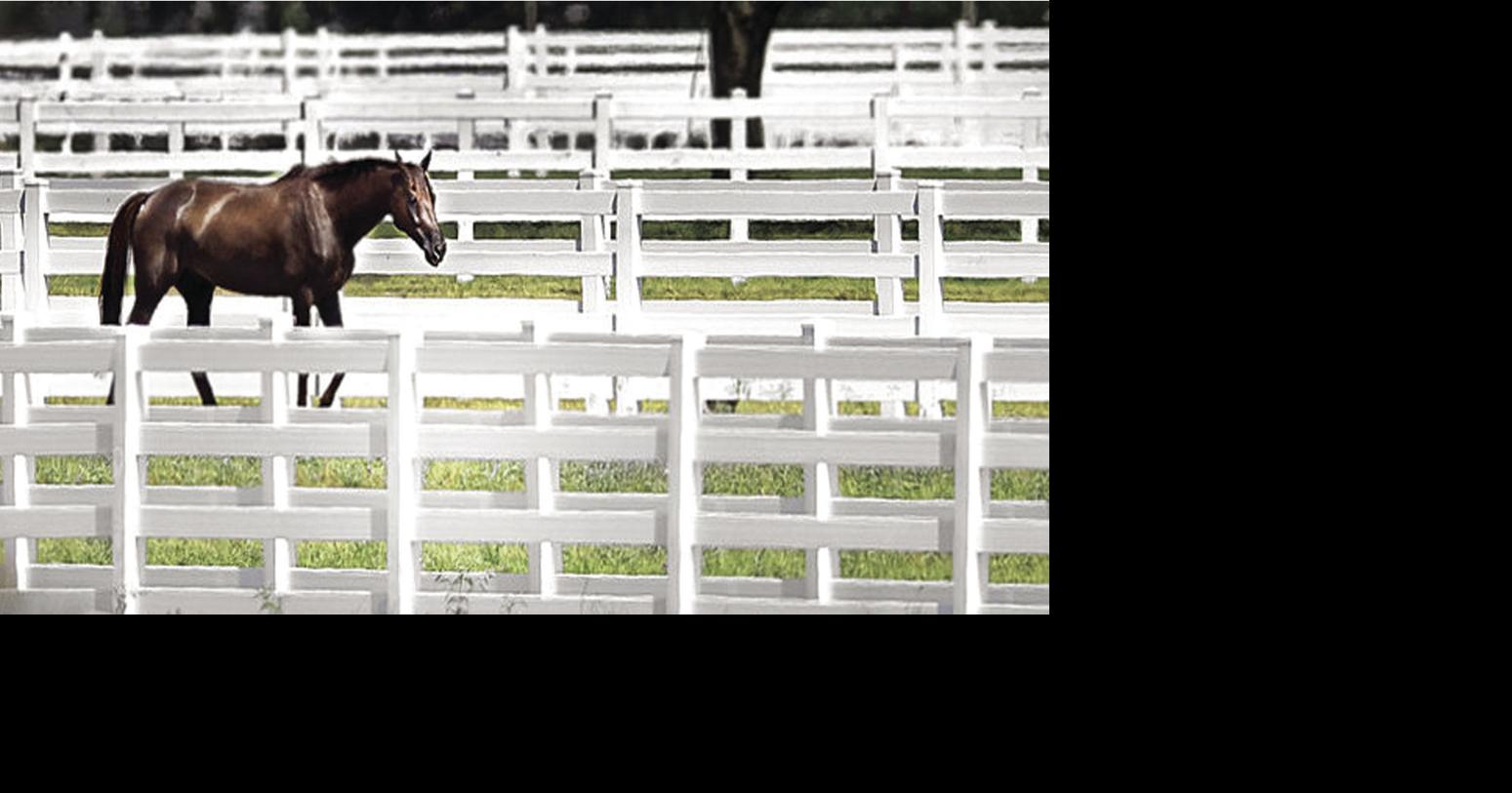 Construction set at Hildebrand Equine Complex