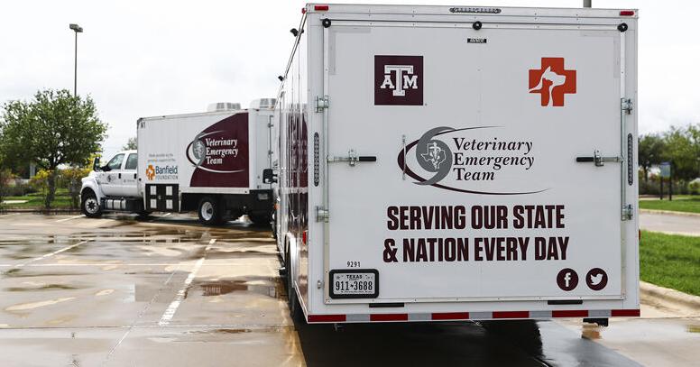 Texas A&M's Veterinary Emergency Team unveils small animal evacuation ...