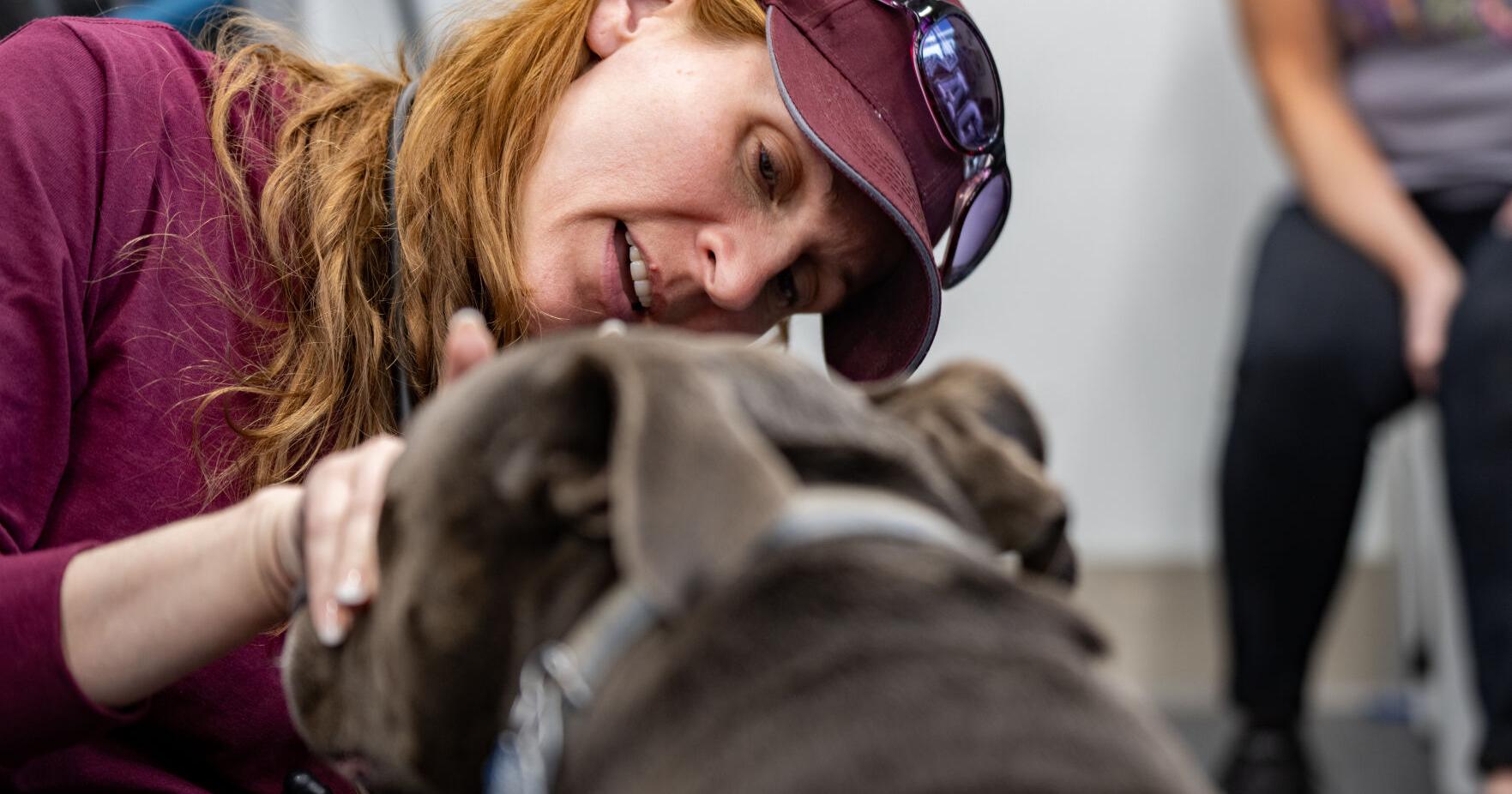VET returns after treating animals hurt by fire in Panhandle - Vimarsana News