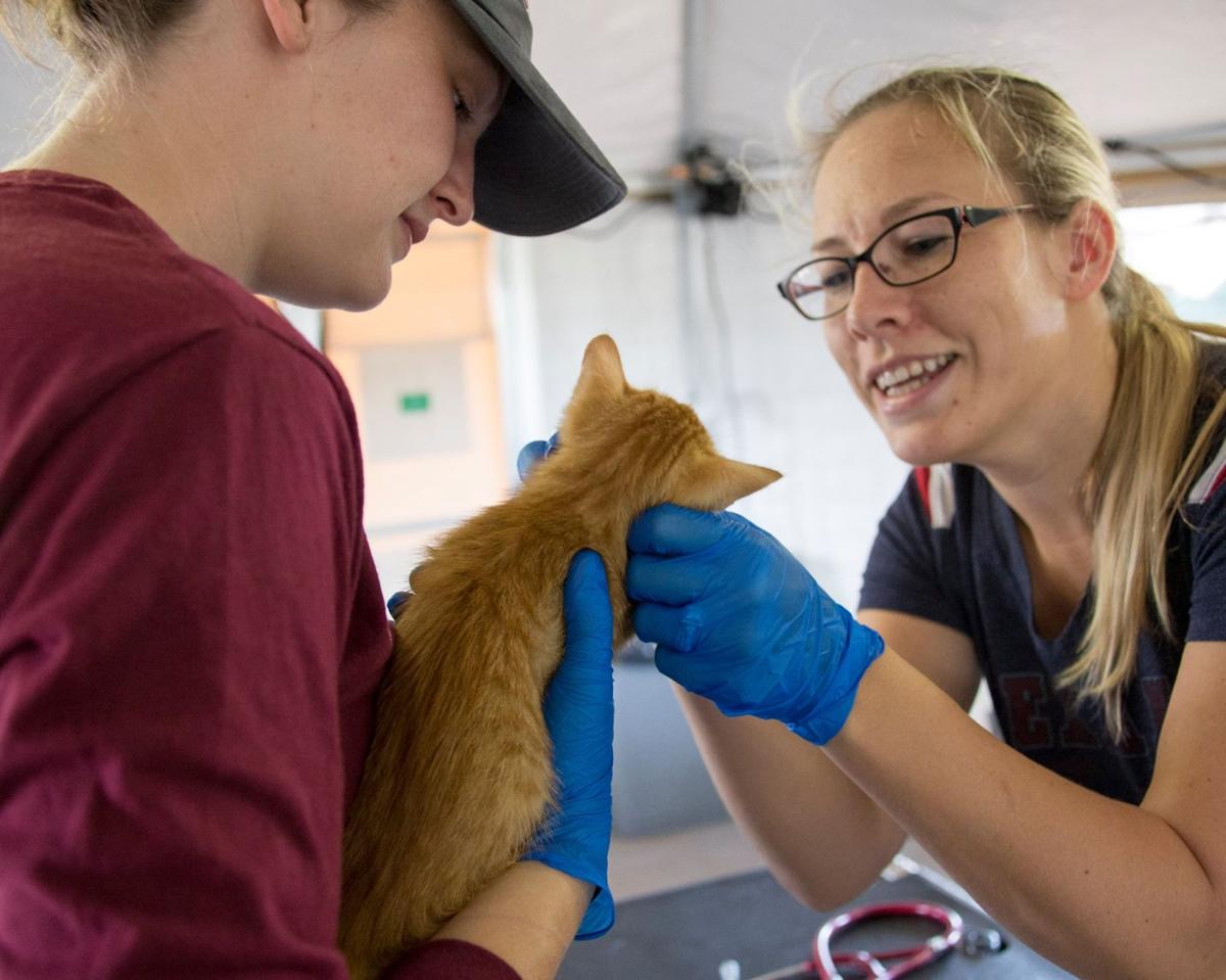 Texas A&M Veterinary Emergency Team mobilized to help out animals in