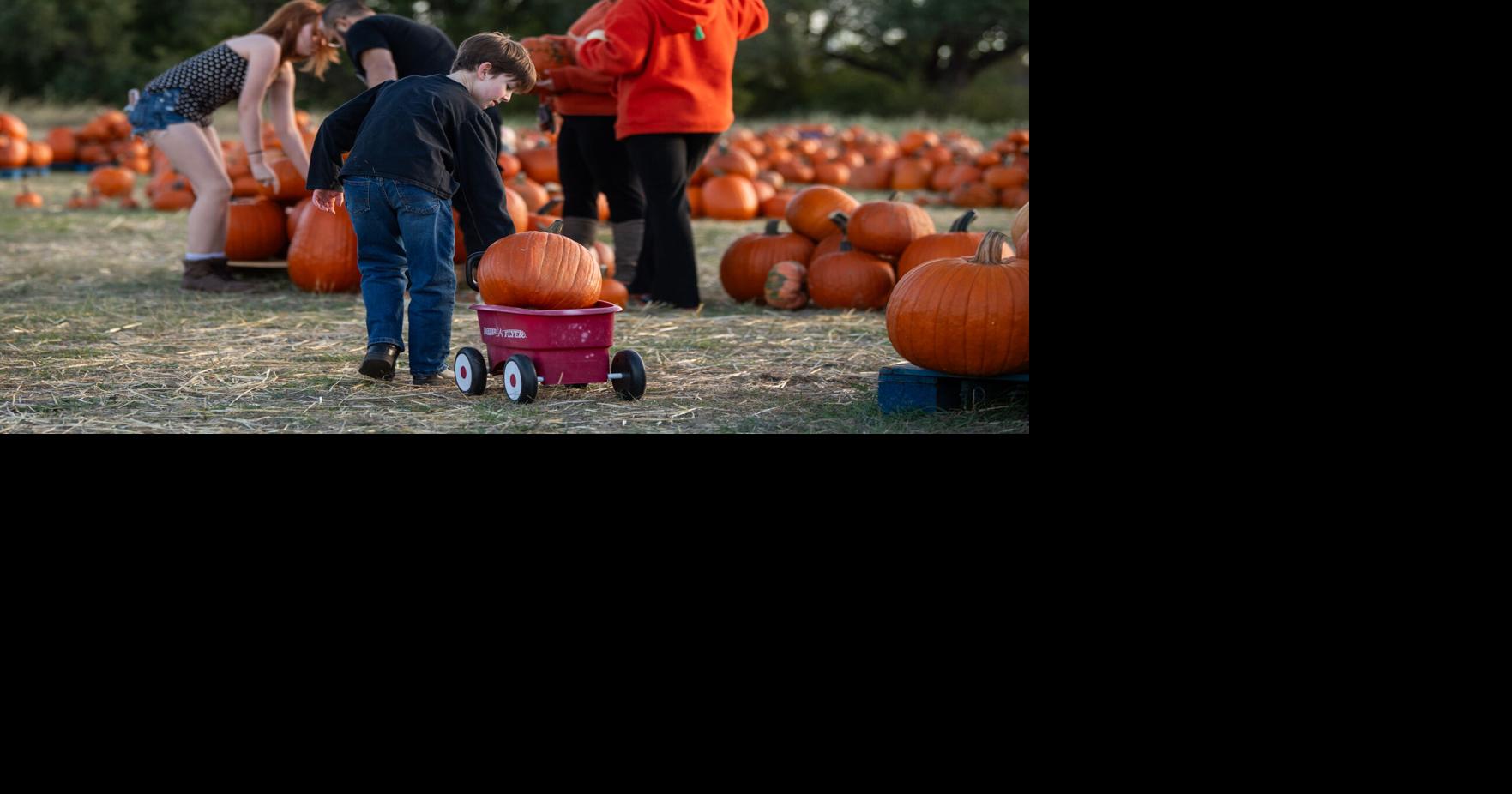 Photos: BCS Habitat for Humanity Pumpkin Patch Oct 18, 2026 8 hrs ago