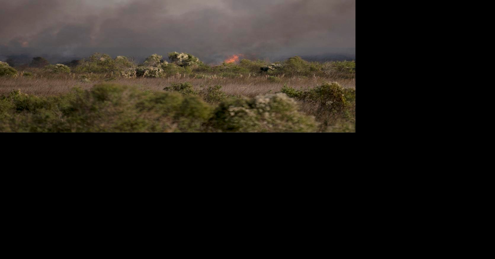 Cease Fire Brazoria County institutes burn ban News