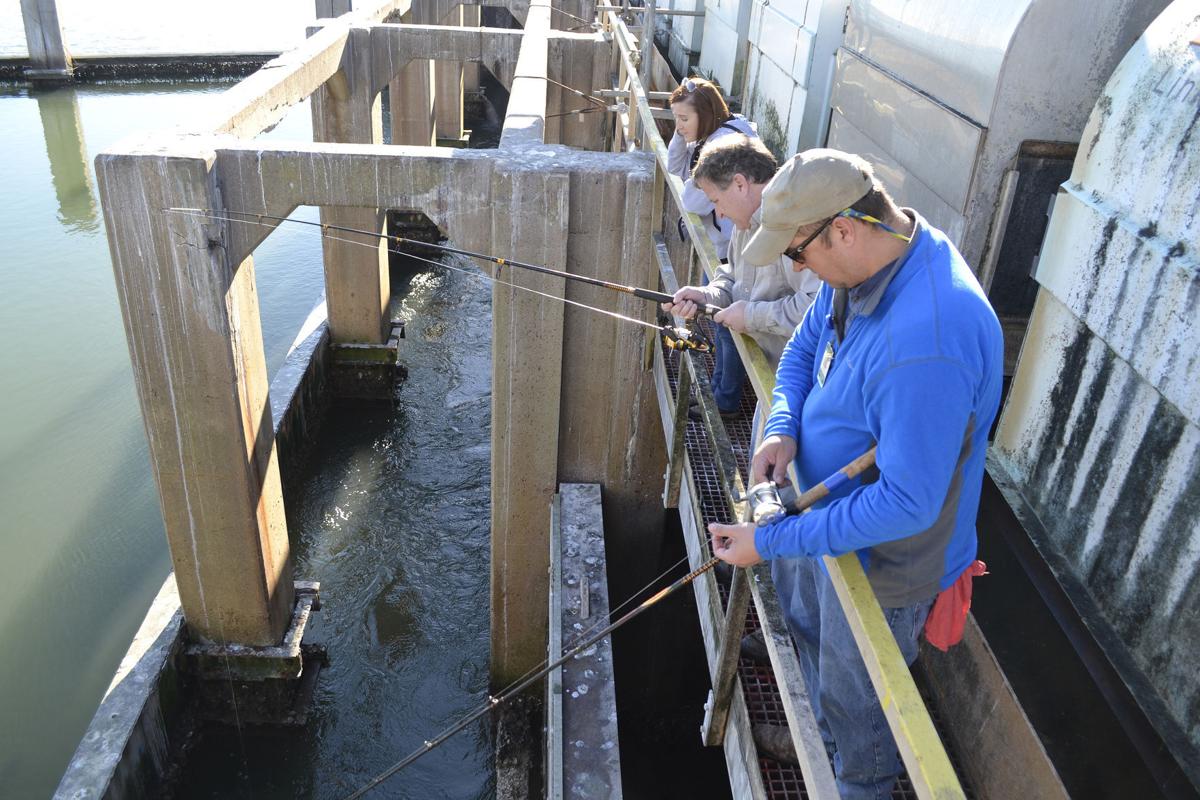 Dow's canals a legendary fishing spot for a lucky few News