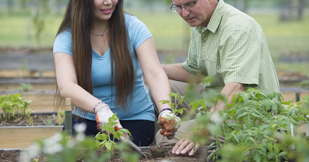 Horticulture initiative receives ACC Foundation grant - Vimarsana News