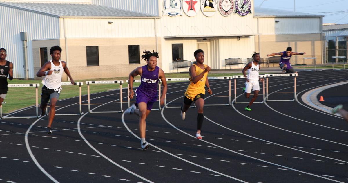 Wildcat relays advance to area Sports