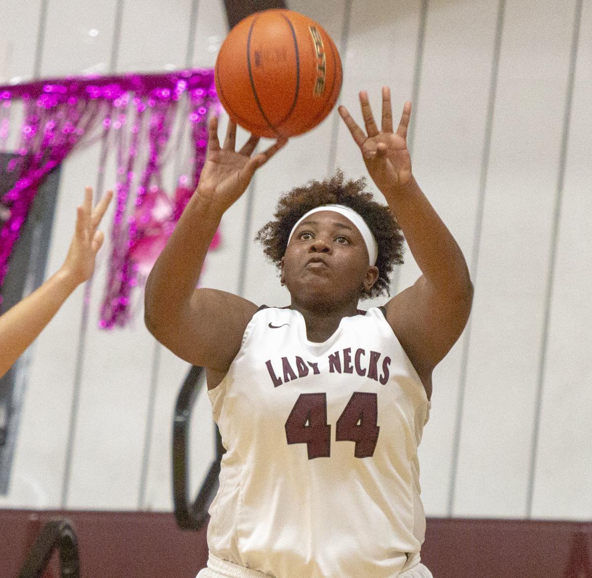 Columbia Girls Basketball Falls To Needville Sports Thefacts Com