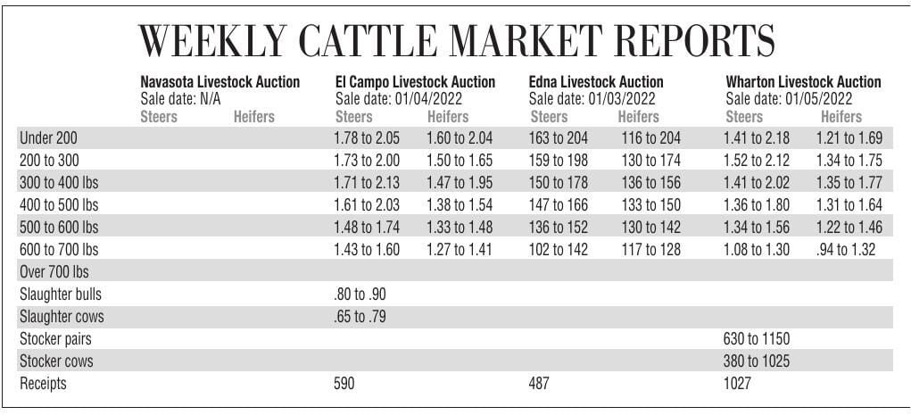 Cattle Chart for Jan. 8, 2022