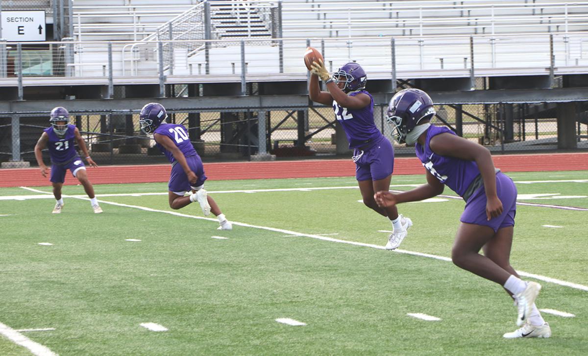 Wildcats a mixture of young and old for season Sports