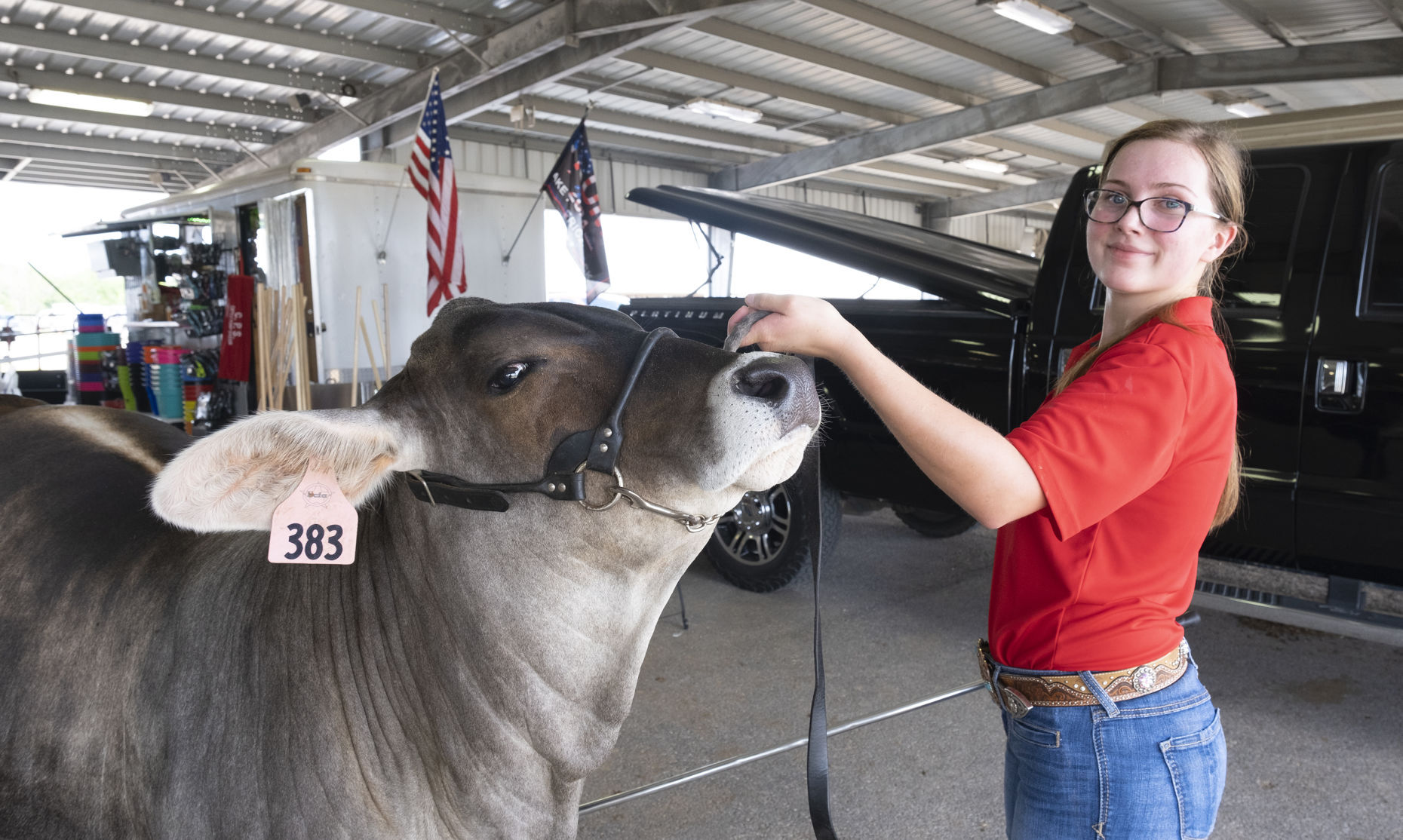 Primetime Cattle Showdown | News 