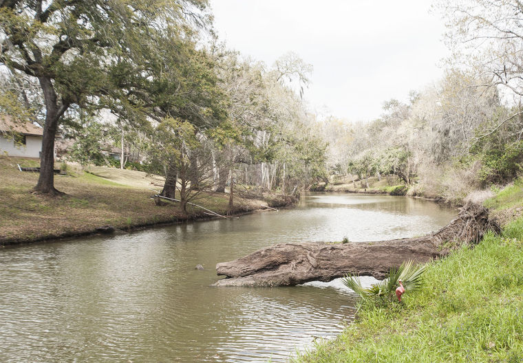 Oyster Creek Conservancy expanding cleanup project News