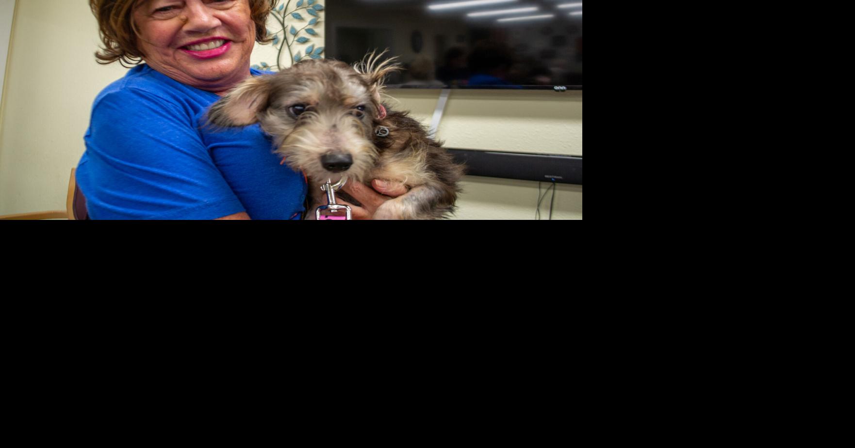 Folding for four-legged friends helps Carriage Inn residents support ...