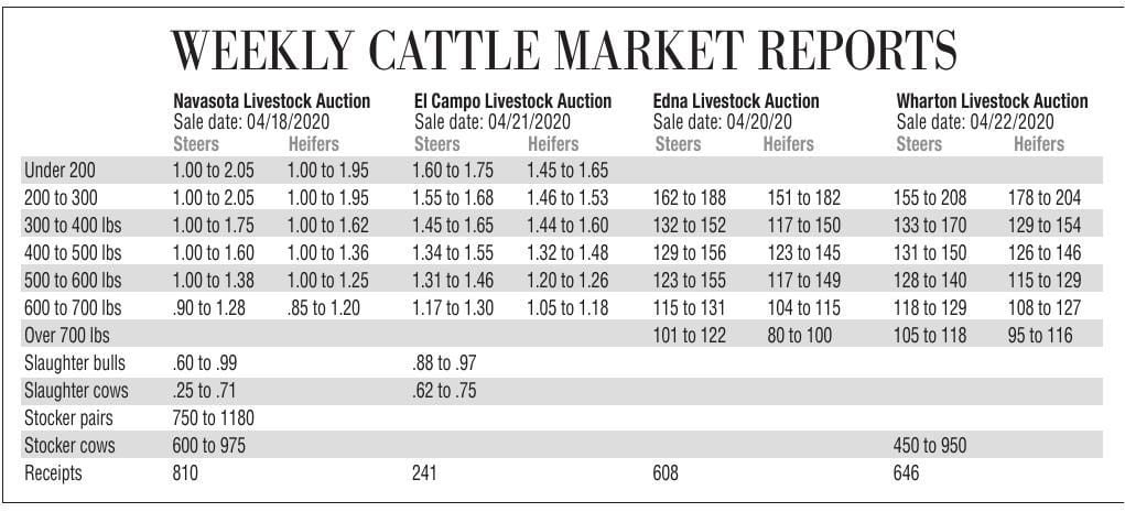 Hereford Cattle Weight Chart