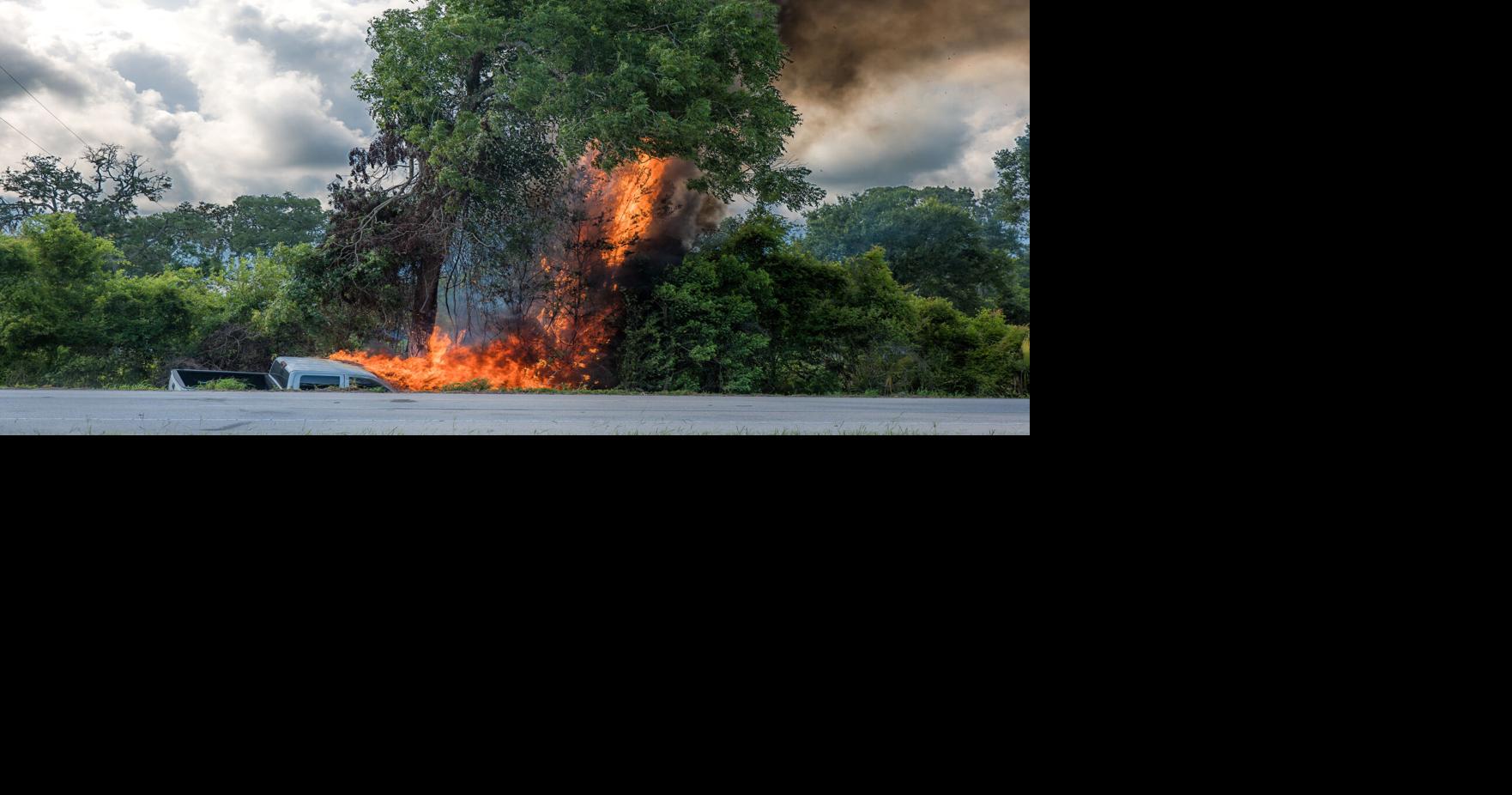 Pickup veers into tree, bursts into flames | News | thefacts.com