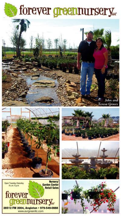 Forever Green Nursery Focus And Forecast Thefacts Forever Green Nursery Pictures