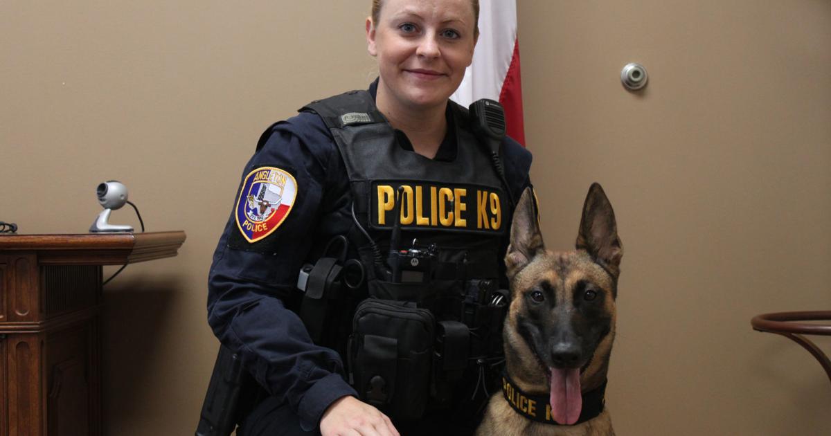 Angleton Police Department introduces newest K9 team | News | thefacts.com