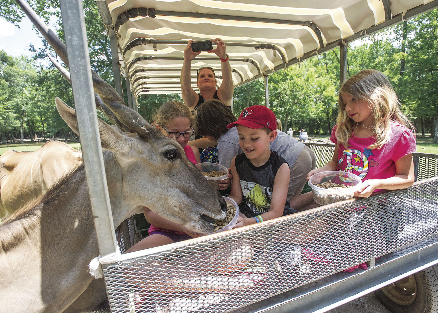 Bayou Wildlife Zoo, With Its 500-plus Animals On 86 Acres, Is For Sale ...