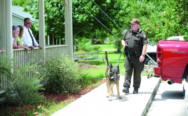 danbury k9 2