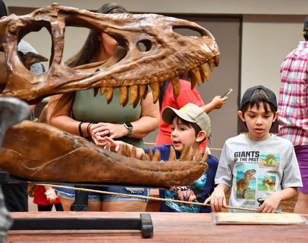 Children roar with excitement for Dino Day