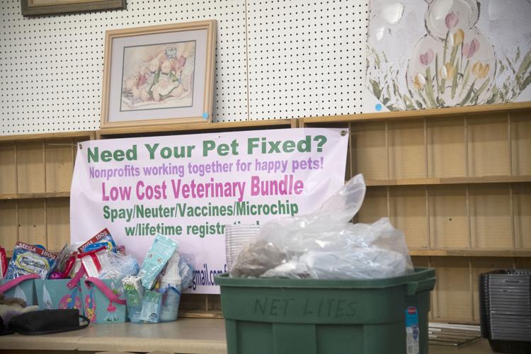 Farm Gals' focus is changing and saving animals' lives | Brazos Living | Farm Gals' focus is changing and saving animals' lives | Brazos Living |