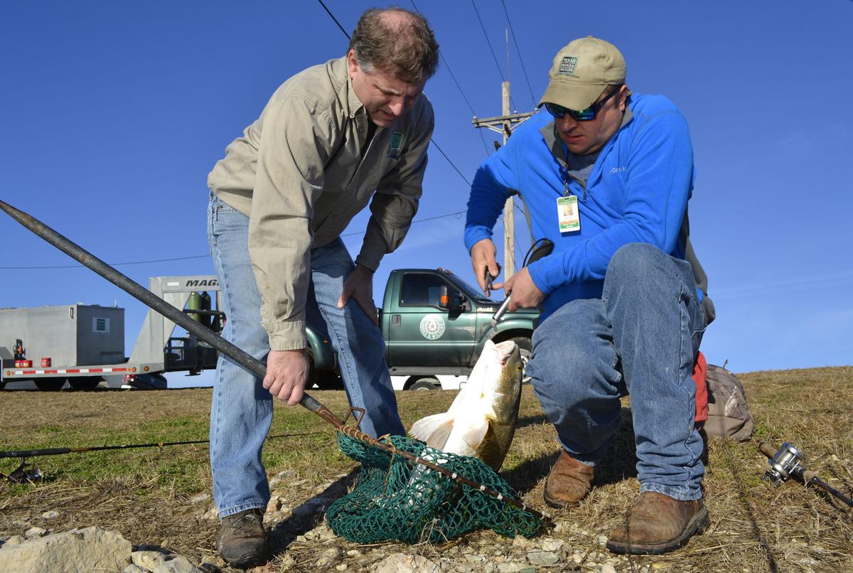 Dow's canals a legendary fishing spot for a lucky few News