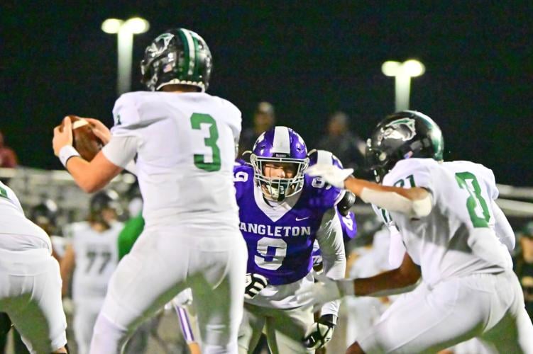 Wildcats fall to Cedar Park, 213, in area round Sports