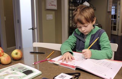 Commentary Youngest Kids Have Thoughts On Virtual Learning Opinion Thefacts Com Commentary Youngest Kids Have Thoughts On Virtual Learning Opinion Thefacts Com
