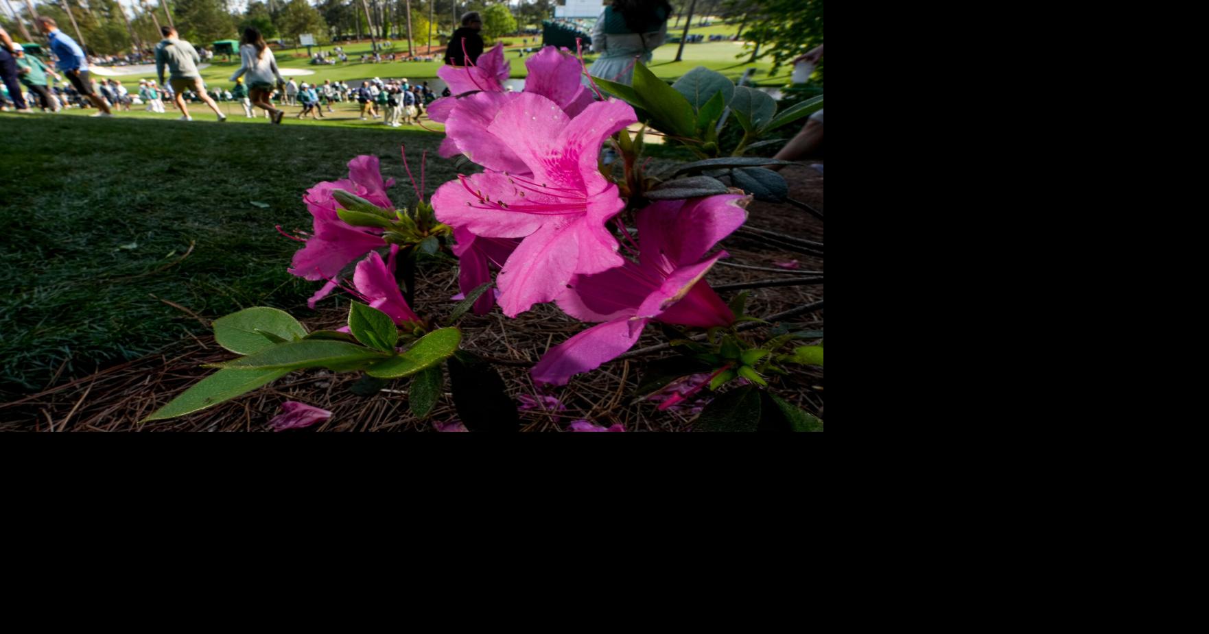 Masters Flowers Golf | | thefacts.com