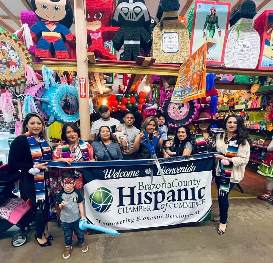 harbor freight boot brush