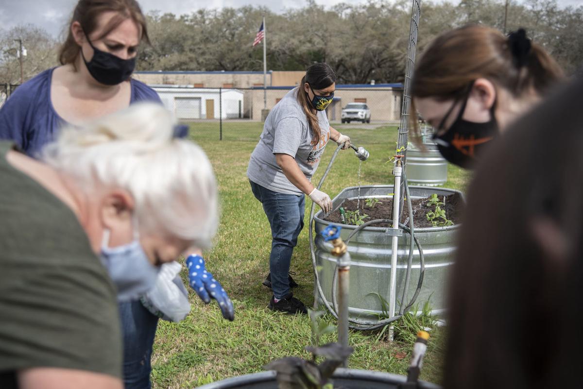 Community Spring Planting Day